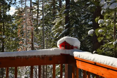 DSC_6663 (Large).JPG